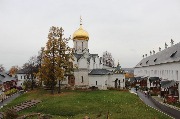 IMG_2631.jpg