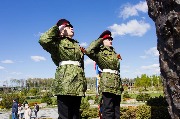 IMG_2973.jpg